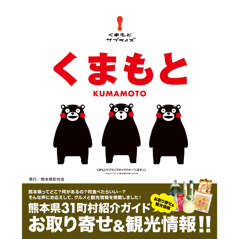31町村紹介ガイドブックの写真